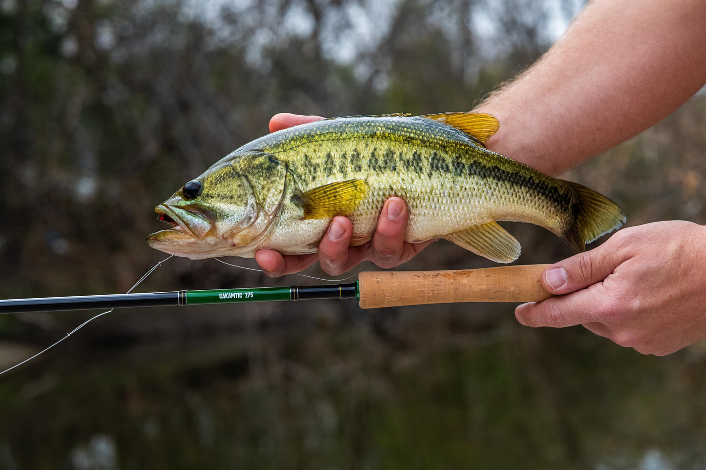 Hill Country Tenkara Cakawtic 275