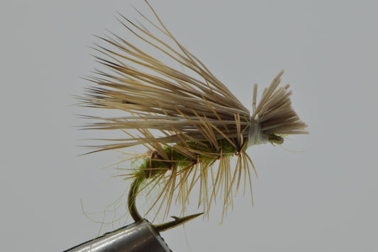 6 Olive Elk Hair Caddis