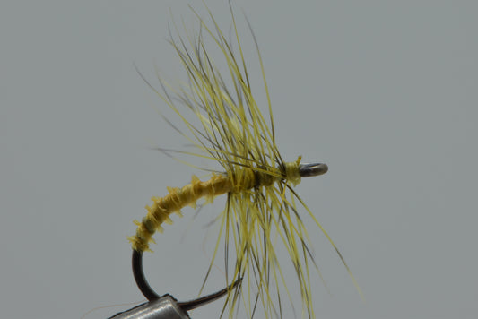 6 Golden Kogeki  Futsu Kebari Tenkara Flies